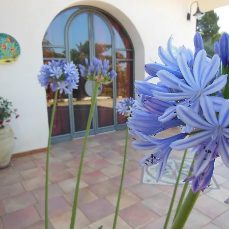 La In Collina فيلة *